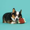 Super Chewer Wreck of Ribs Dog Toy