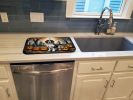 Welsh Springer Spaniel Spooky Halloween Dish Drying Mat Absorbent Dish Drying Mat Pad for Kitchen Counter Dish Drainer Mat for Countertop, 14 x 21"