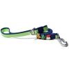Christmas Themed Dog Collar and Leash Set, Waterproof PVC Pet Collar with Cute Charms for Small Medium Dogs