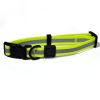 Reflective PVC Dog Leash & Collar Set | Waterproof Heavy Duty Safety Lead